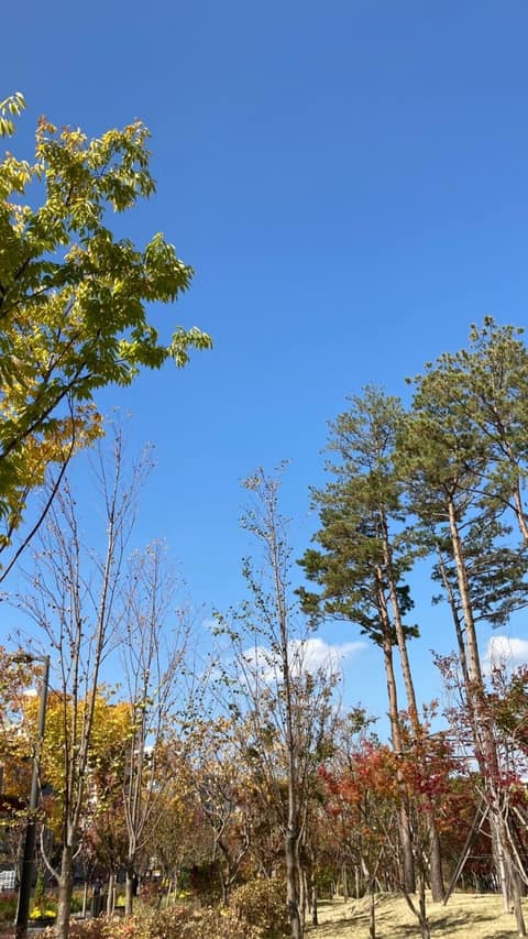 경춘선숲길 사진 10