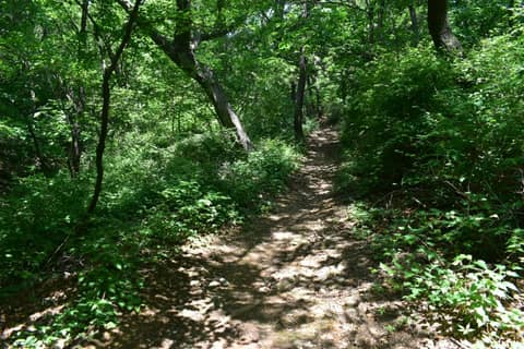 인천둘레길3코스(원적산) 사진 3