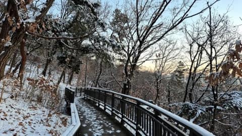 배봉산둘레길(배봉산자락길) 사진 1