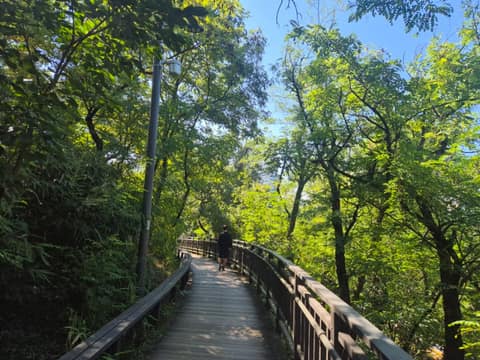 배봉산둘레길(배봉산자락길) 사진 2