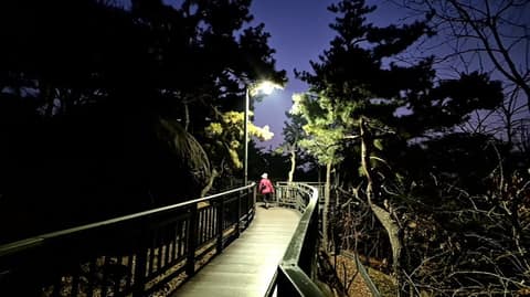 배봉산둘레길(배봉산자락길) 사진 3