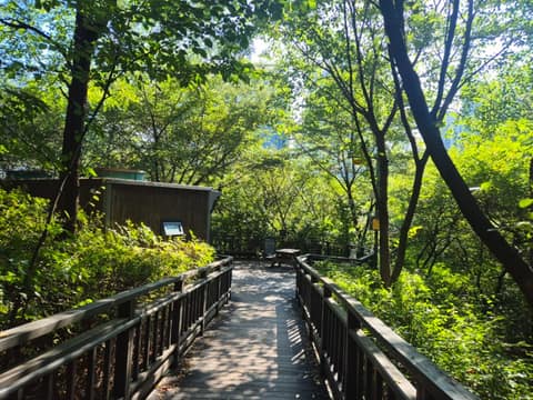 배봉산둘레길(배봉산자락길) 사진 5