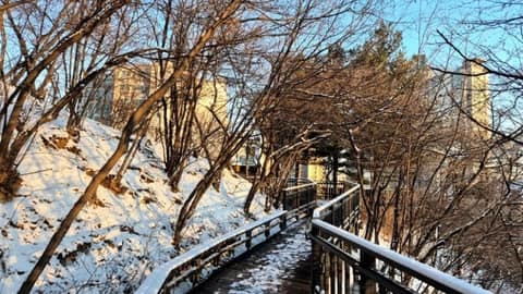 배봉산둘레길(배봉산자락길) 사진 9
