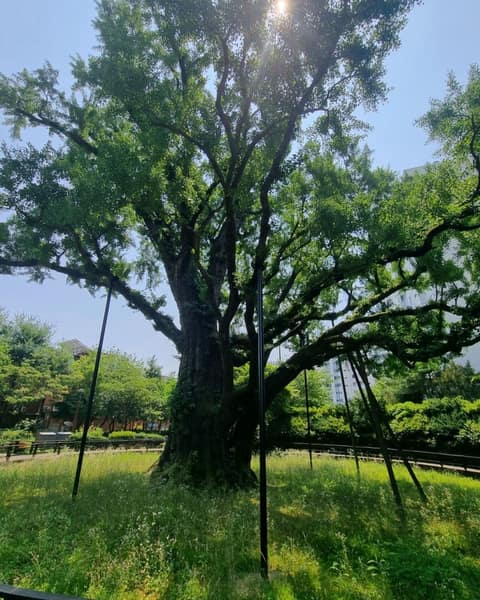 서울둘레길21코스(북한산도봉) 사진 9