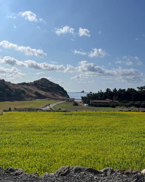 산방산용머리해안지질트레일A코스 사진 10