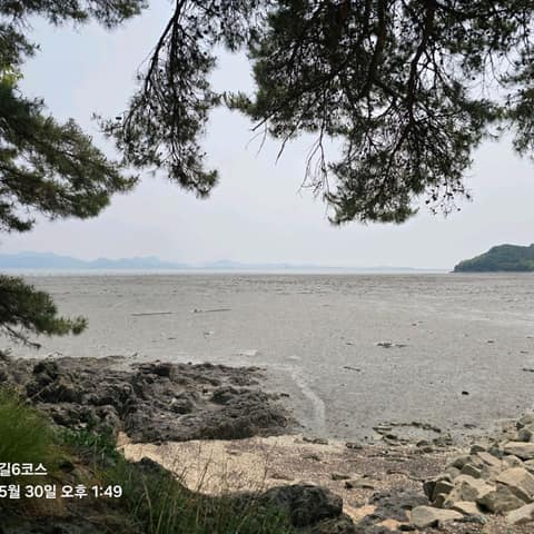 전북천리길모항갯벌체험길 사진 2