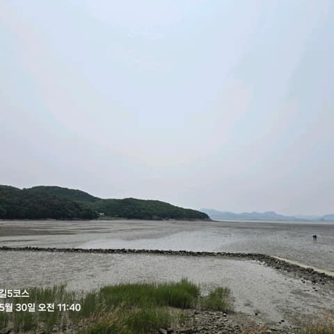 전북천리길모항갯벌체험길 사진 6