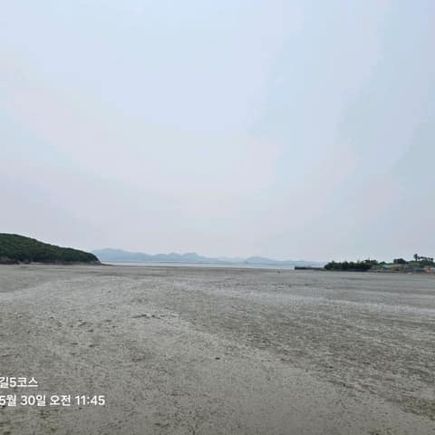 전북천리길모항갯벌체험길 사진 7