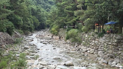 고성갈래구경길송지호둘레길 사진 3