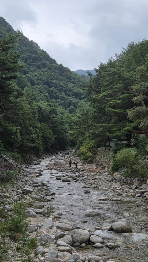 고성갈래구경길송지호둘레길 사진 4