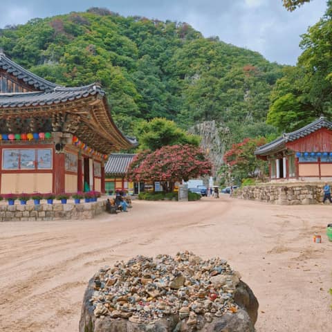 오어지둘레길 사진 5