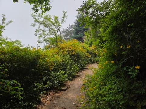 서울둘레길19코스(북한산성북) 사진 3