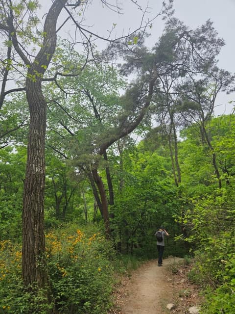 서울둘레길19코스(북한산성북) 사진 5