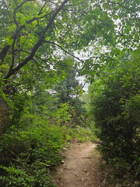 서울둘레길19코스(북한산성북) 사진 6