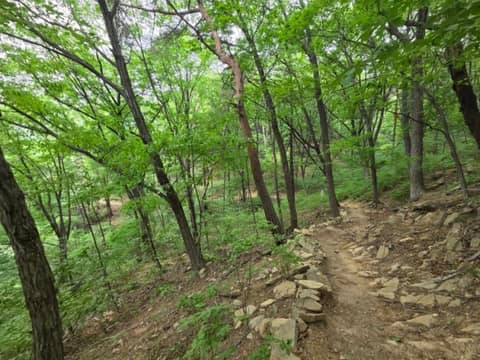 서울둘레길19코스(북한산성북) 사진 8