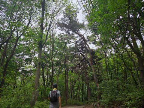 서울둘레길19코스(북한산성북) 사진 9