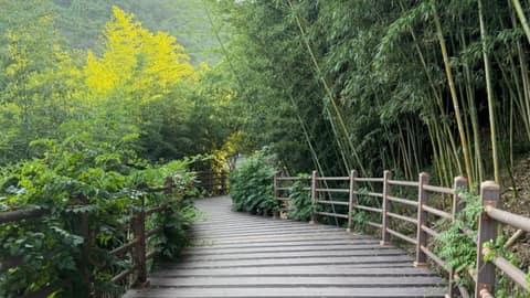 장성호수변길 사진 1