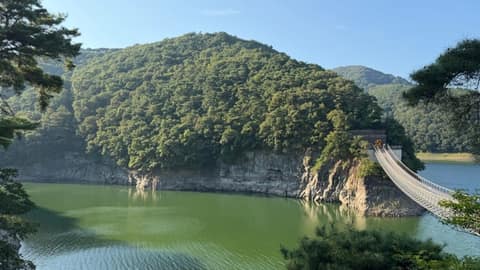 장성호수변길 사진 3
