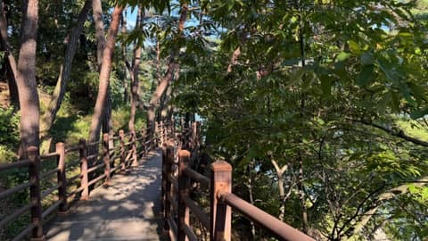 장성호수변길 사진 5