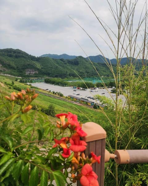 장성호수변길 사진 6