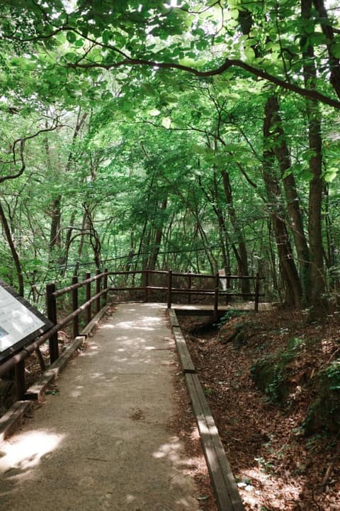 가야산소리길(무장애탐방구간) 사진 7