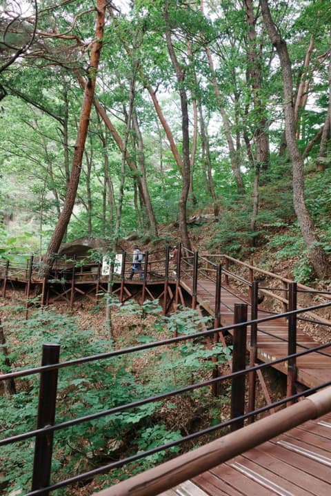 가야산소리길(무장애탐방구간) 사진 9