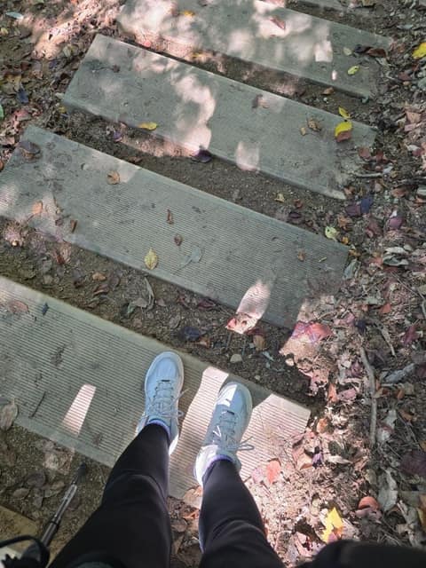 광릉숲생물권보전지역둘레길1코스(옛사랑길) 사진 9