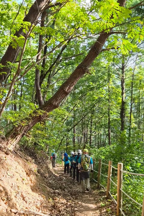 치악산둘레길10코스(아흔아홉골길) 사진 2