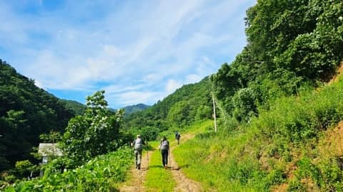 치악산둘레길10코스(아흔아홉골길) 사진 4