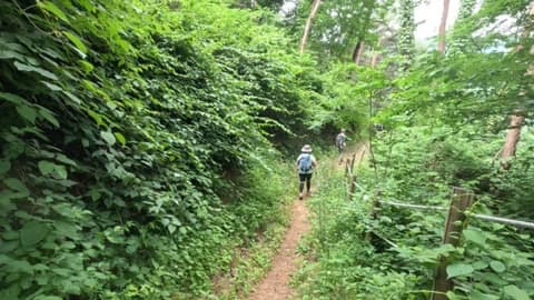 치악산둘레길10코스(아흔아홉골길) 사진 9