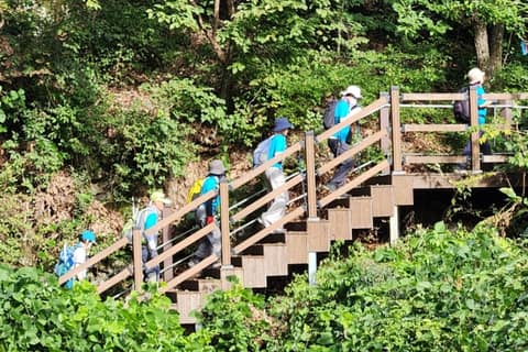 치악산둘레길10코스(아흔아홉골길) 사진 10