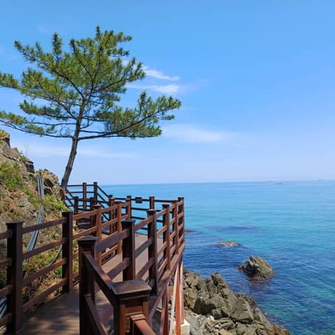 덕봉산해안생태탐방로 사진 7