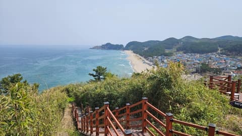 덕봉산해안생태탐방로 사진 9