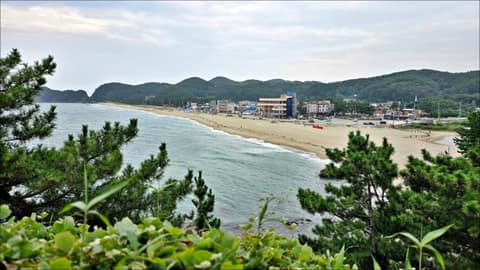 덕봉산해안생태탐방로 사진 10