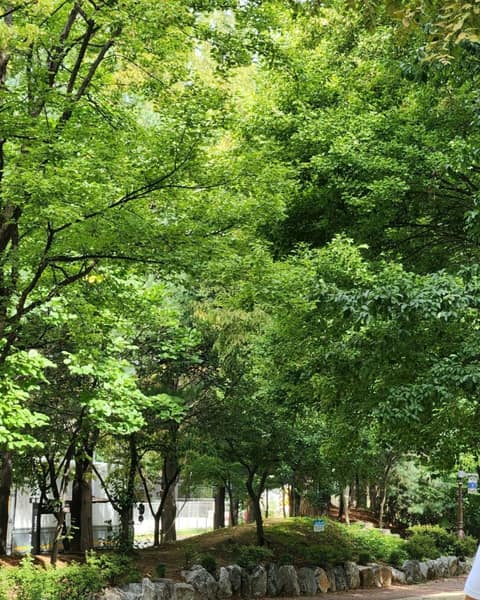 부천둘레길탐방3코스(물길따라걷는길) 사진 4