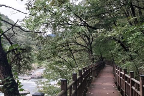 월류봉둘레길(풍경소리길) 사진 9