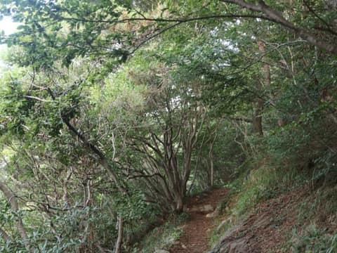 금오도비렁길4코스 사진 5