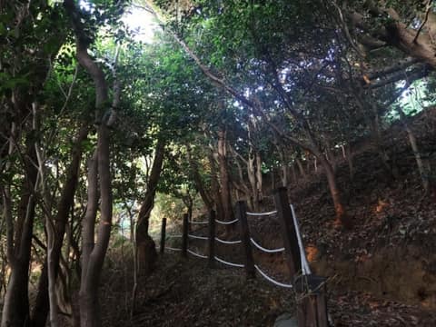금오도비렁길4코스 사진 6