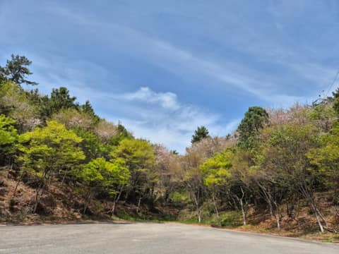 남파랑길77코스 사진 1