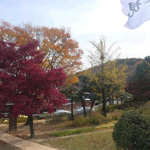 행리단길 사진 4