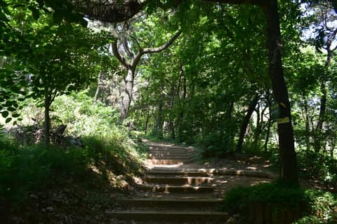 인천둘레길9코스(청량산,봉재산) 사진 3