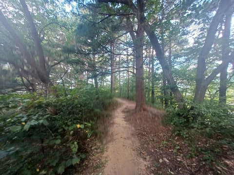 치악산둘레길1코스(꽃밭머리길) 사진 2