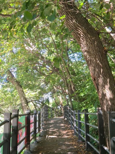 치악산둘레길1코스(꽃밭머리길) 사진 6