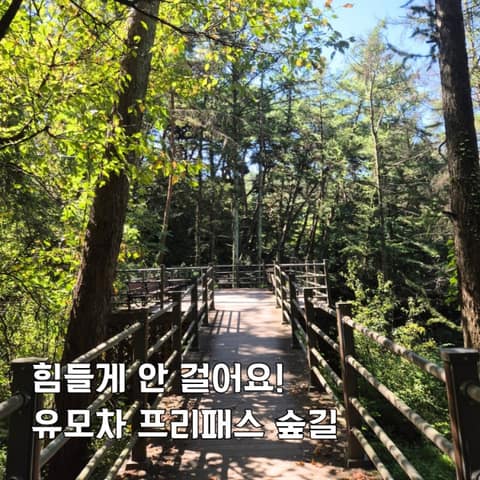 치악산둘레길1코스(꽃밭머리길) 사진 10