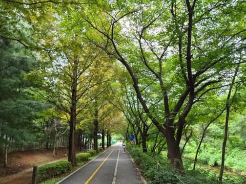인천둘레길6코스(소래길) 사진 3