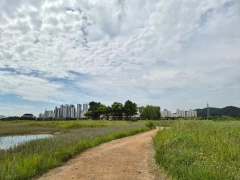 인천둘레길6코스(소래길) 사진 5