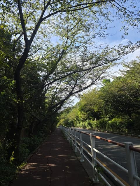 남파랑길7코스 사진 2