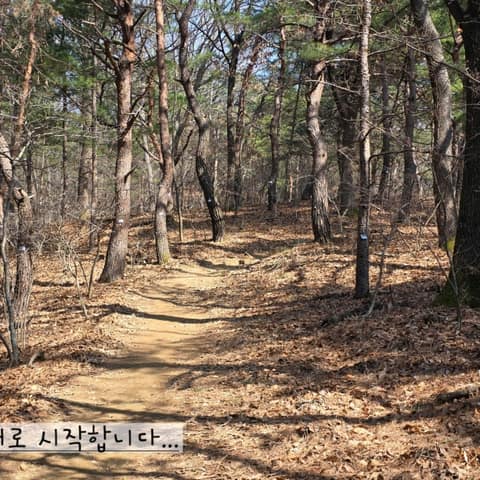 보훈둘레길쪽빛길 사진 3