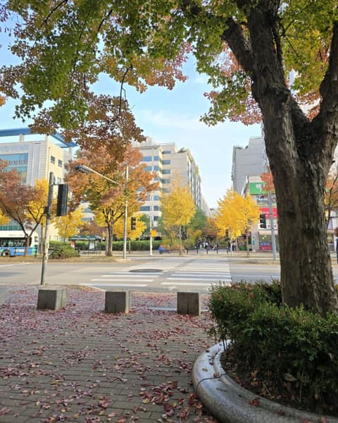 고양누리길7코스(호수누리길) 사진 10