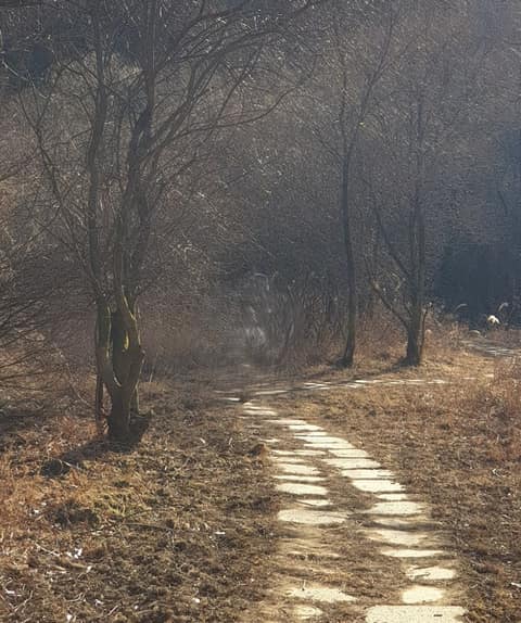 성주호둘레길(독용산성길) 사진 2